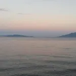 Avra *